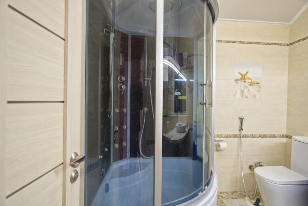 Дом в Немецкой деревне — фото 4